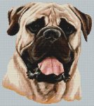 (image for) Mastiff Smile